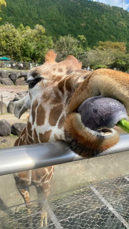 ka2_foodさんの写真 / 3