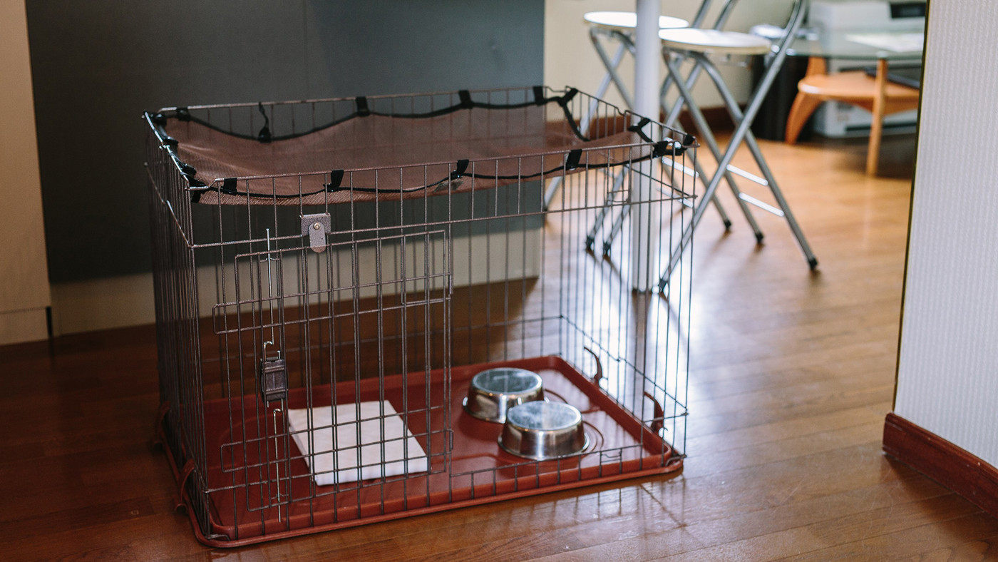 7.リフレッシュエッセンシャルリゾート3424650