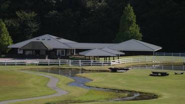 ホテル ブルーベリーヒル勝浦(ホテルブルーベリーヒルカツウラ) / 4