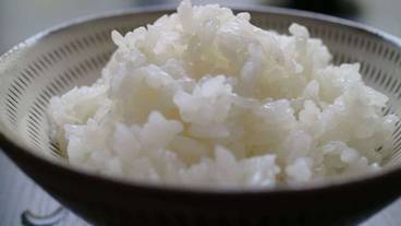 食事・飲み物 / 10