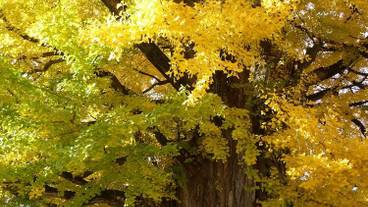 施設からの眺望 / 21