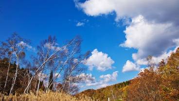 施設からの眺望 / 27