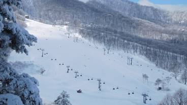 スキー ヒル / 10