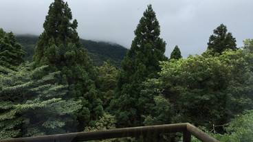 スイートルーム/眺望一例 / 12