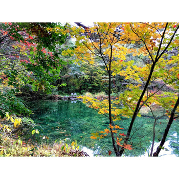 心地よい静けさに心と体のリズムが整う3346866