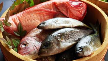 食事・飲み物 / 1