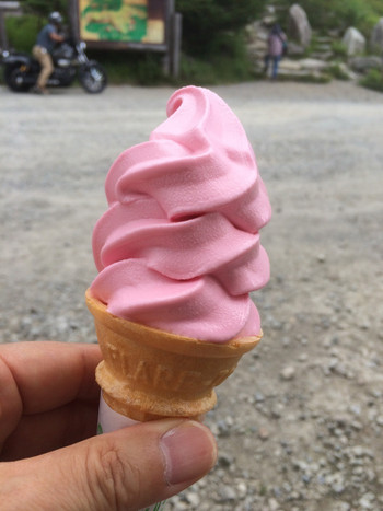 「山本小屋 ふる里館」料理 683362 こけももソフトクリーム2015/08訪問