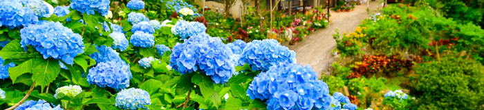 沖縄女子旅なら、“古民家ステイ”で癒しの時間を。 おすすめ一棟貸の宿6選