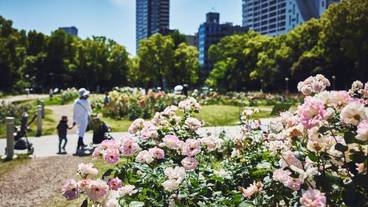 靭公園(うつぼこうえん) / 1