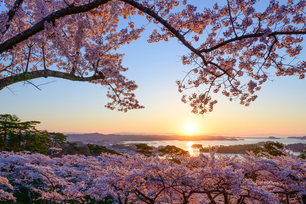 日本が誇る絶景…日本三景「松島」の旅はいかが？2063386