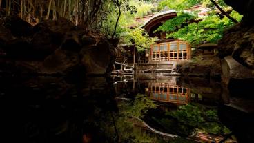 庭園露天風呂② / 5