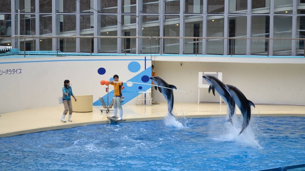ドライブ途中で
水族館へ / 1