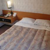 三原国際ホテル（広島県 シティホテル） / 5