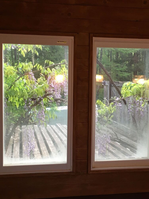 部屋からの景観