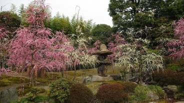 観光スポット / 11