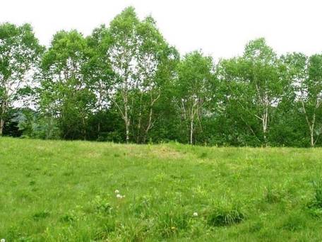 志賀グランドホテル / 4