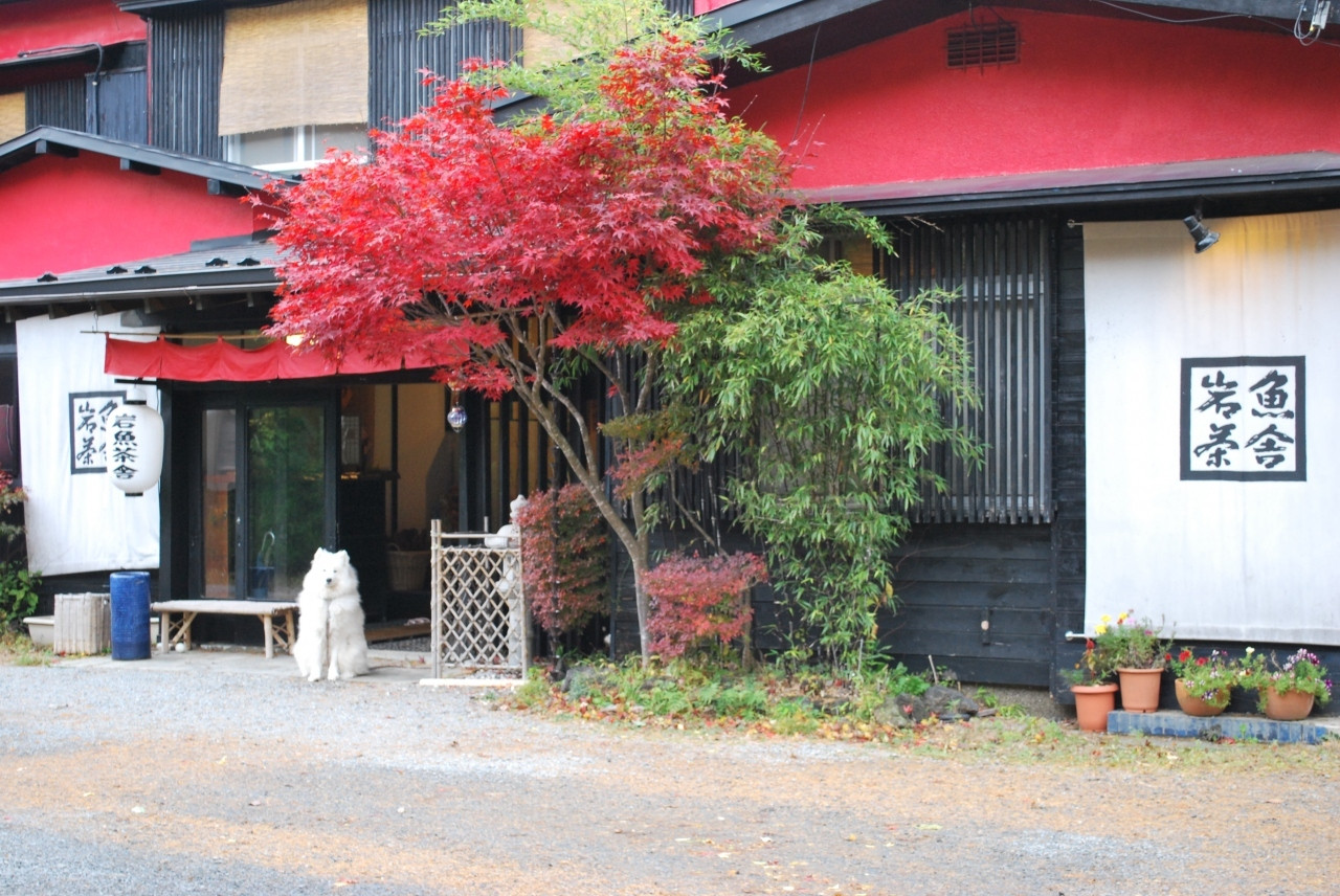 郷土料理が部屋食で楽しめる古民家の温泉宿3907236