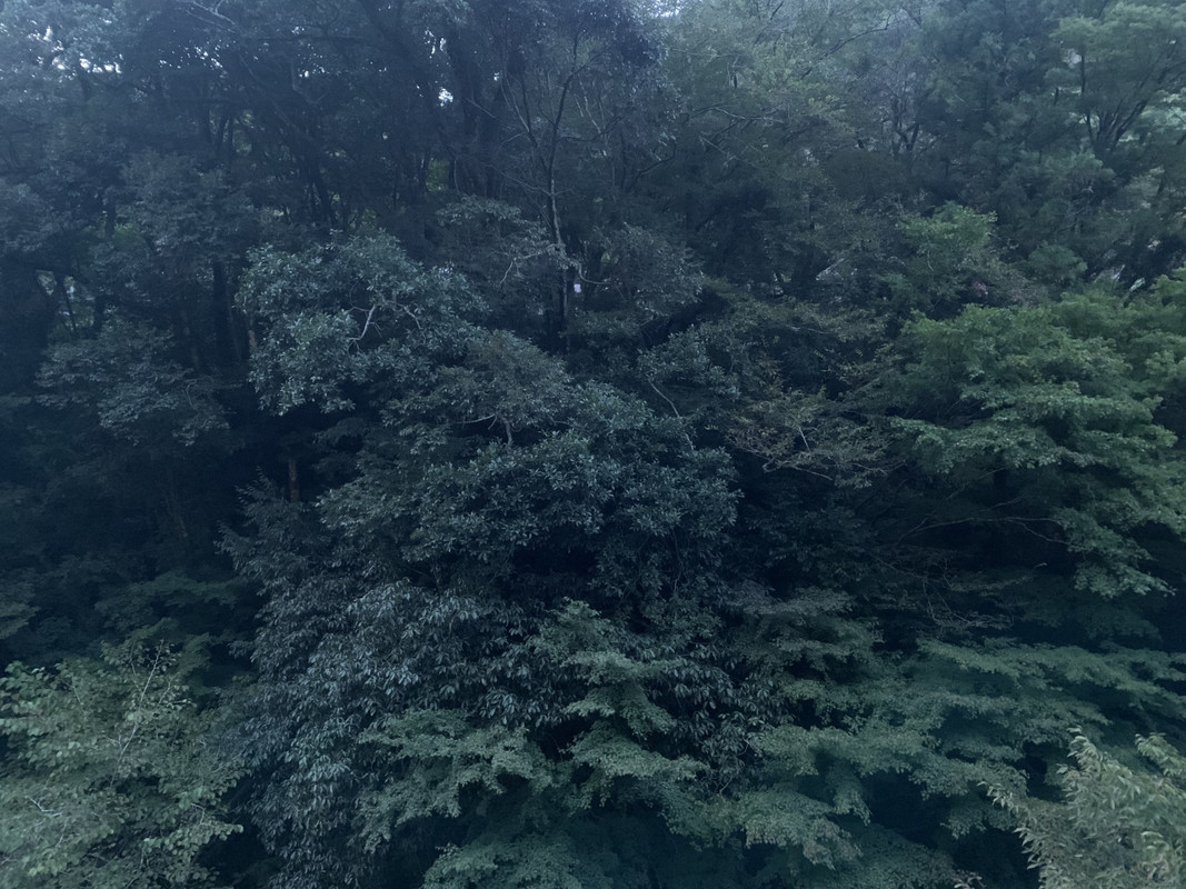 部屋からの眺望