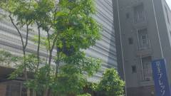 京王プレッソイン赤坂