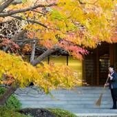 界 伊東(静岡県 旅館) / 5