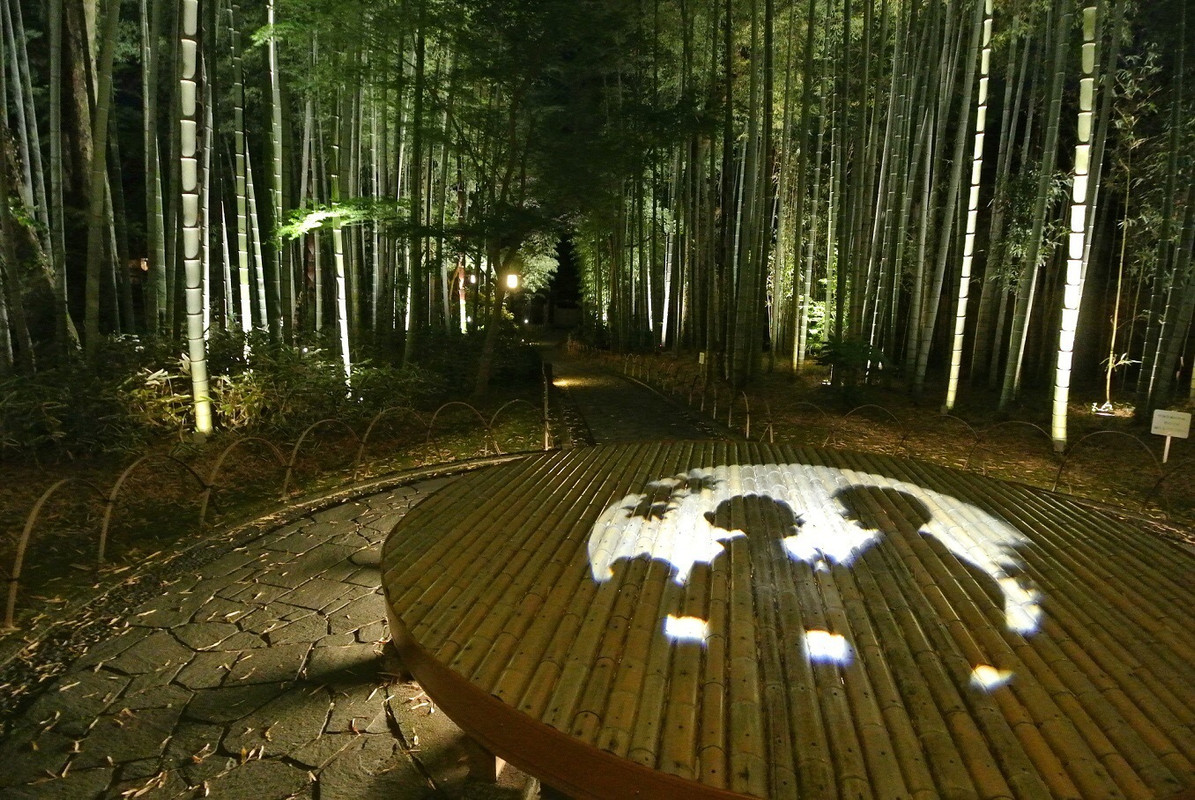竹林