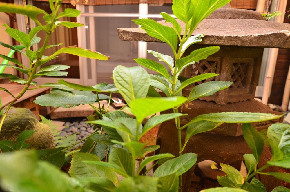 施設からの眺望