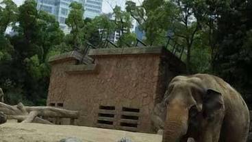 観光スポット / 34