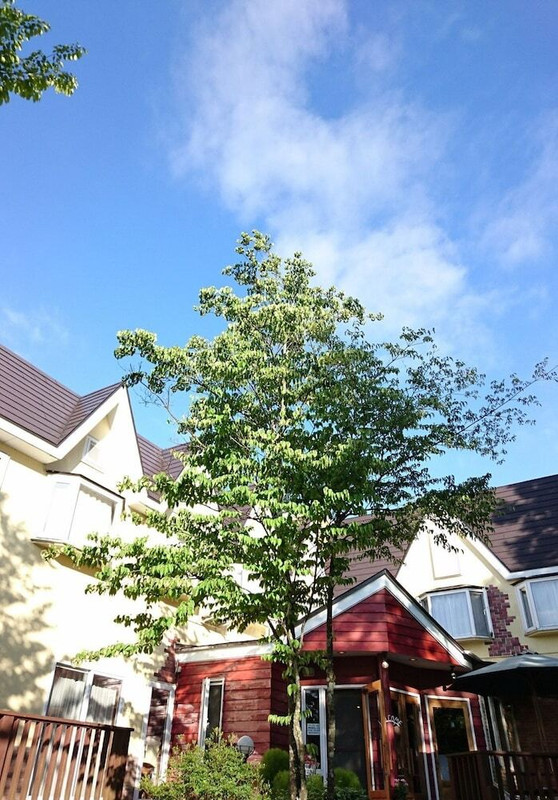 メイン イメージ