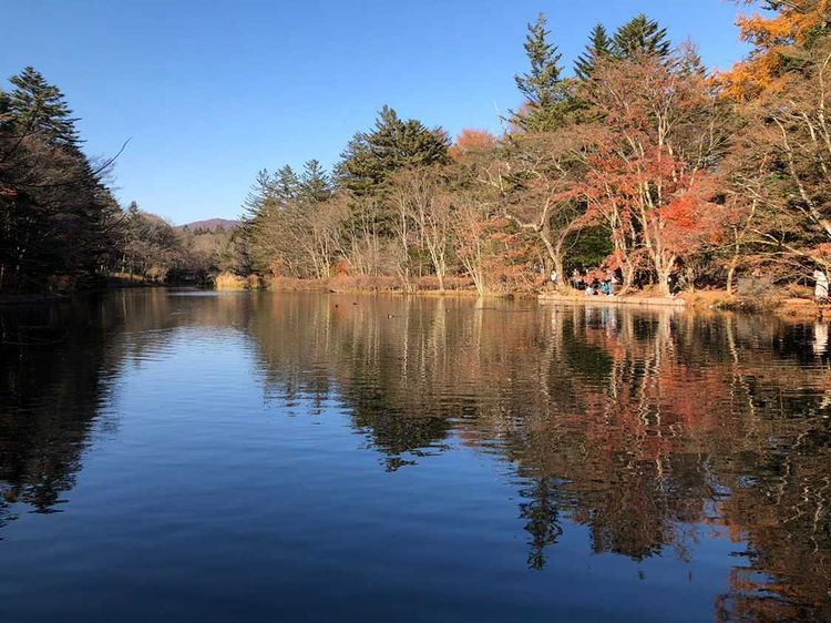 ainasatooさんの写真 / 3