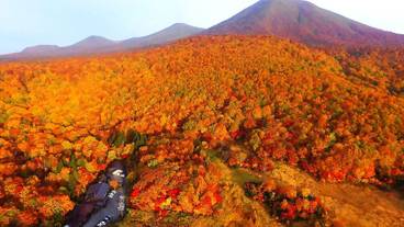 マウンテン ビュー / 30