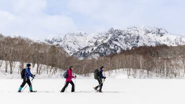 スノーシュー / 5