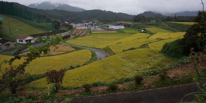 御宿 春芽（宮崎県 民宿） / 1