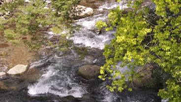 部屋からの景観 / 24