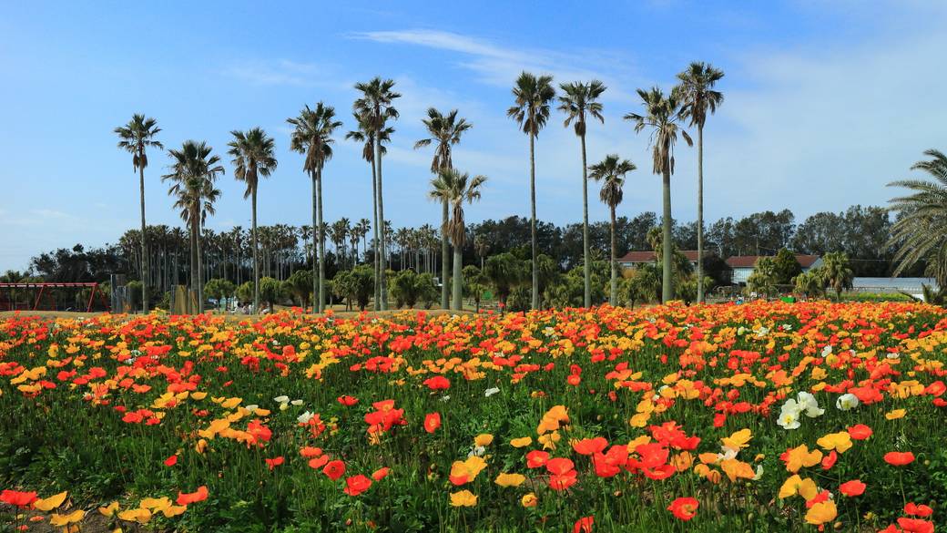 空と海、花を眺めながら
館山ドライブ / 1