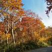 ホテルの前は素晴らしい紅葉の景色が