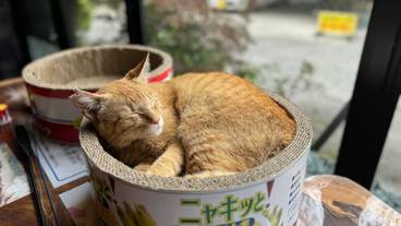 施設の正面 / 2