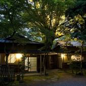 登録有形文化財の宿 名泉鍵湯 奥津荘(岡山県 旅館) / 5