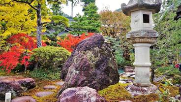 施設からの眺望 / 17