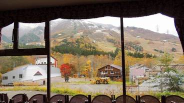 レストラン / 11