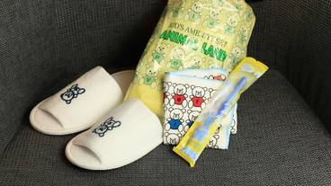 客室の設備とサービス / 16