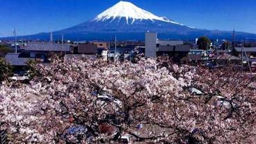 施設からの眺望 / 11
