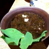 一魚一会 (イチギョイチエ)