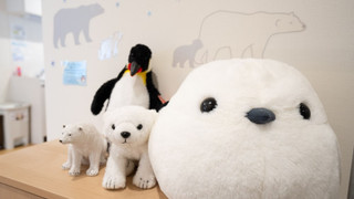 コンフォート コンドミニアム 2 ベッドルーム (B)