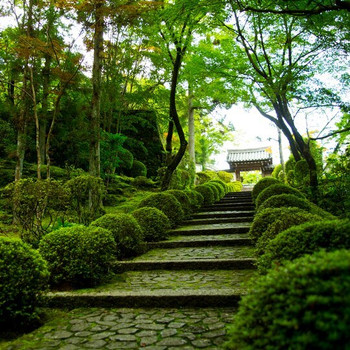 「霊山寺 天龍閣」で極上の癒し旅3706307