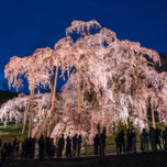 【福島県】デートにおすすめの絶景9選 | “パワースポット桜”に静寂の湖も！