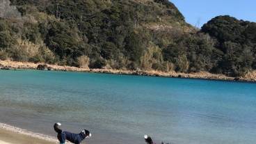 ペット同伴可 / 2