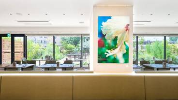 レストラン / 12