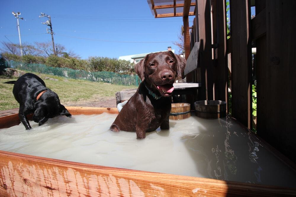 ペット用設備・サービス