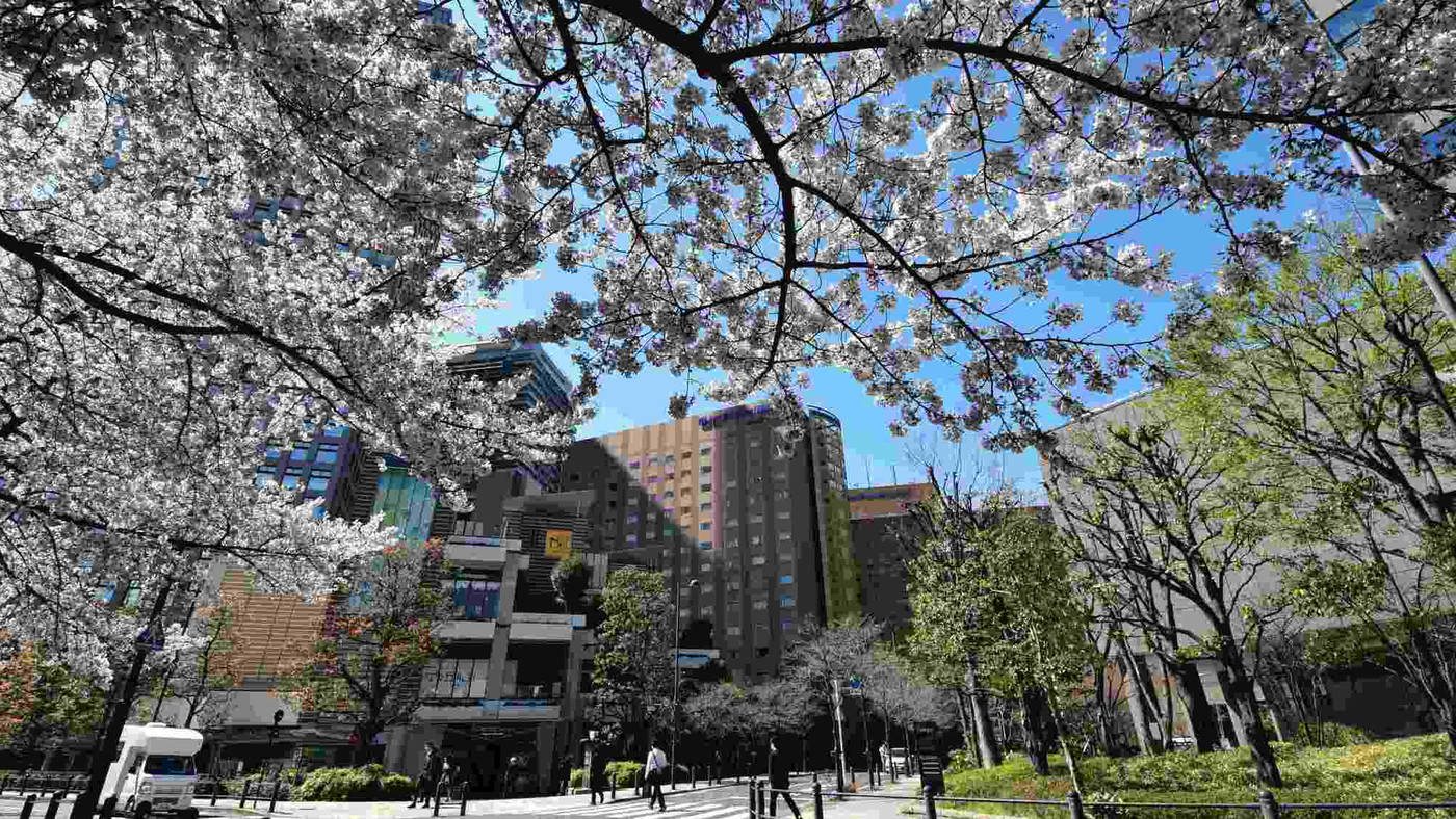 東京観光の拠点にも便利な好ロケーション4242892