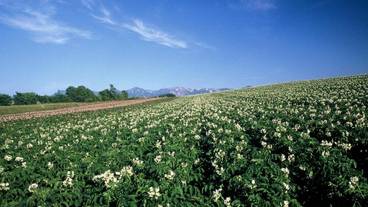 施設の敷地 / 15